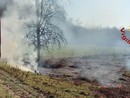 Prosegue l'emergenza sterpaglie, che anche oggi ha impegnato a lungo i vigili del fuoco