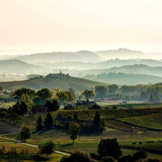 Opportunità per l’avvio di imprese non agricole nel GAL Basso Monferrato Astigiano