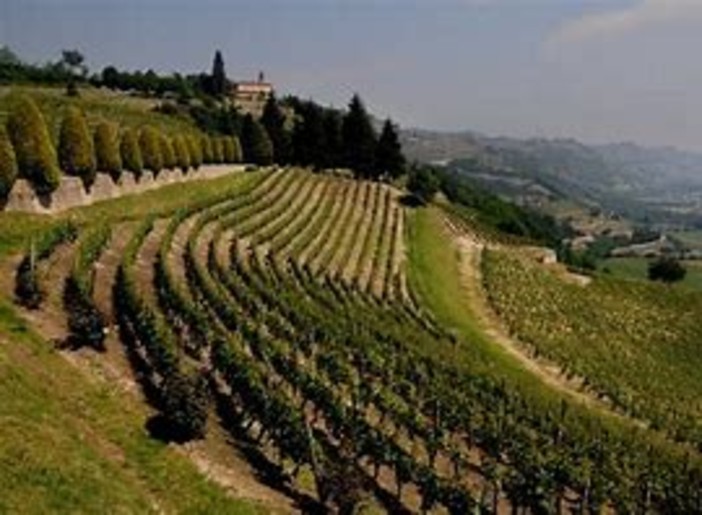 Ente Turismo Langhe Monferrato Roero, il prossimo presidente potrebbe essere espressione dell'Astigiano?