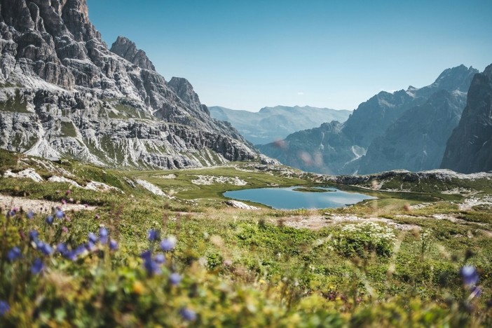 Il trenino verde delle alpi: un'escursione fuori dal comune