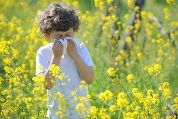 Naso chiuso, starnuti e lacrime: arrivano le allergie di primavera. Come riconoscerle e cosa fare