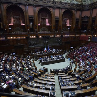 Cittadinanza, botta e risposta Lega-Forza Italia